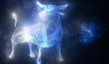 金牛座最放心不下的星座女孩