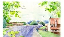 土星在第二宫或金牛座