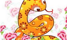 1965年属蛇的人2020年运势大全及破解