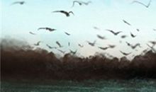 金牛座的感情修复能力