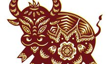 1961年属牛的人2020年运势大全及破解