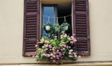 星座运势2014年:人际关系运势