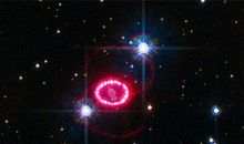 紫微斗数之命理预测的体与用