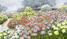 土星在第七宫或天秤座