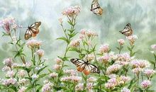 土星在第十二宫或双鱼座