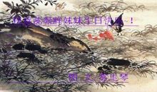 金牛座的网络情缘