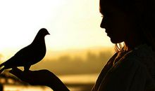 寂多蔓生狮子座一周运势（1.8-1.14）