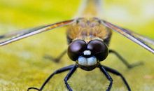 哪些星座贵人运出色?善于提升贵人运的星座