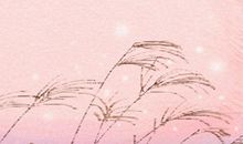 属牛金牛座女生性格特点