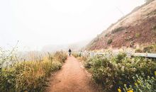 1976年属龙2019年运势及运程