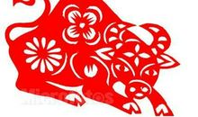 1973年是什么生肖年，1973年属什么生肖