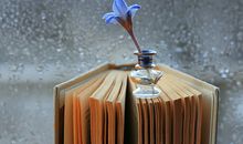 哪些生肖天性具备学玄学的基础和天赋