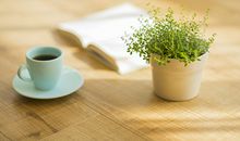 招财风水之新年风水去霉运招财运