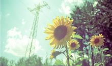 柒爸一周星座运势（6.5-6.11）