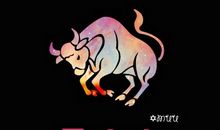 2014金牛座与谁特别有缘