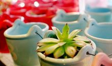 引玥:双子座2018年5月运势