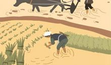 看热闹永远不嫌事儿大的星座