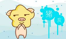 属猪2020生肖贵人是谁 什么时候交好运