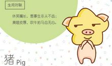 2019年属猪的人2020年运程大全及破解