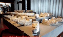 「左右同垣」属于伪格