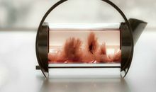 Alex十二星座运势（5.8—5.14）