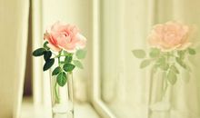 寂多蔓生一周星座运程（5.1-5.7）