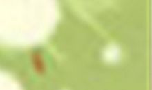 追处女女的几个小技巧