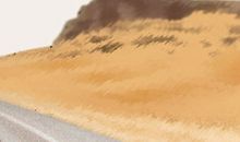 12星座致逝去的青春