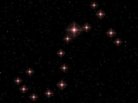 王小亚的天蝎座星座运势，2014年2月