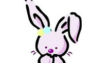 属兔的年份，属兔的出生年份