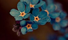 《时尚COSMO》11月星座情爱财富运势