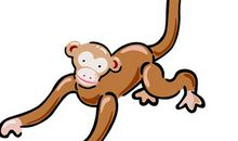 属猴的年份，属猴的出生年份