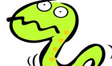 属蛇的年份，属蛇的出生年份