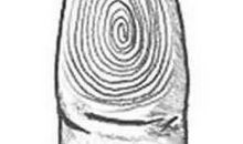 看你有没有拇指富贵纹