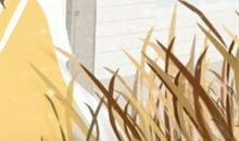 2015年天蝎座旅行指南