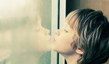 海百合今日星座运势（2017年11月29日）