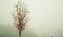 Alex金牛座一周运势（3.12-3.18）