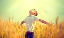 星座运势：白羊座2013年8月运势