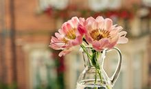 海百合今日星座运势（2017年11月27日）