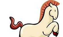 属马的年份，属马的出生年份