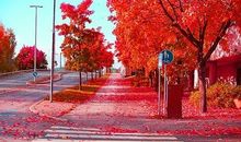 处女座下周运势2013年1月6日—12日