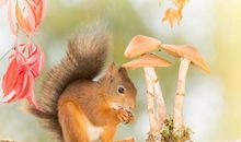 Geo老师天蝎座一周运势（8.5-8.11）