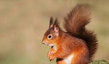 Geo老师双子座一周运势（8.5-8.11）