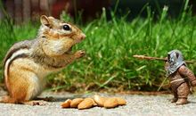 Geo老师处女座一周运势（8.5-8.11）