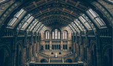 生肖属兔的出生年份？