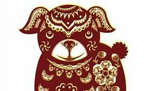 1958年属狗的人2020年运势大全及破解