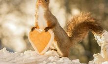 Geo老师巨蟹座一周运势（8.5-8.11）