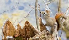 Geo老师水瓶座一周运势（8.5-8.11）