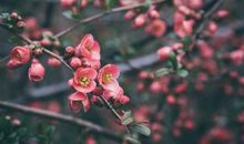 董易林2019年10月31日生肖运势