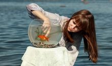 A微日记2015年8月金牛座运势